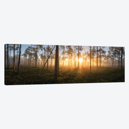 Panorama Of Silence Canvas Print #STR250} by Andreas Stridsberg Canvas Print