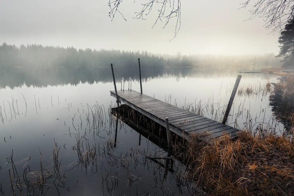 Docks & Piers: Foggy Lake by Andreas Stridsberg