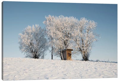 Frosty Lookout Canvas Art Print - Andreas Stridsberg