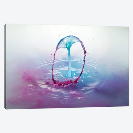 Arched Canvas Print #STR260} by Andreas Stridsberg Canvas Artwork