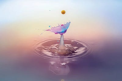 The Catcher by Andreas Stridsberg framed wall art