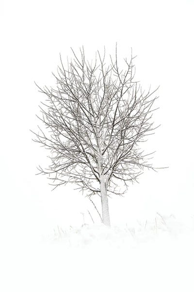 Simplicity by Andreas Stridsberg acrylic art print