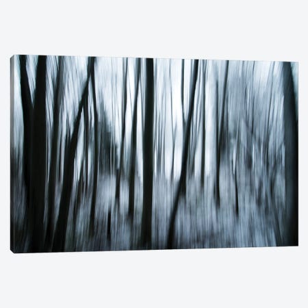 Surreal Forest Canvas Print #STR263} by Andreas Stridsberg Canvas Art