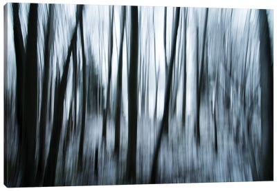 Surreal Forest Canvas Art Print - Andreas Stridsberg