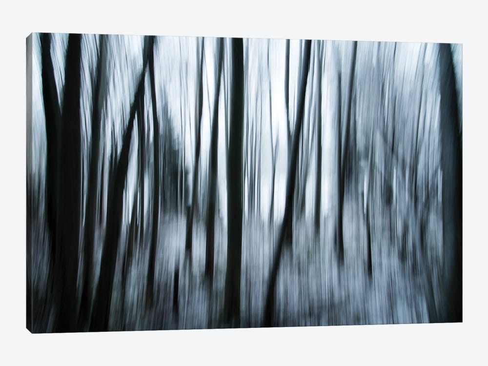 Surreal Forest by Andreas Stridsberg 1-piece Art Print