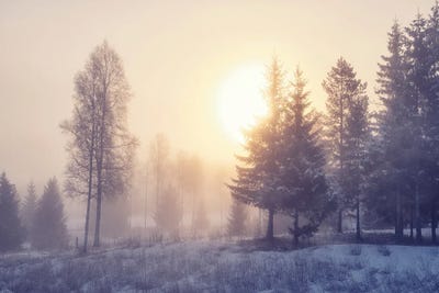 Winter Dawn by Andreas Stridsberg canvas print