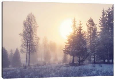 Winter Dawn Canvas Art Print - Andreas Stridsberg