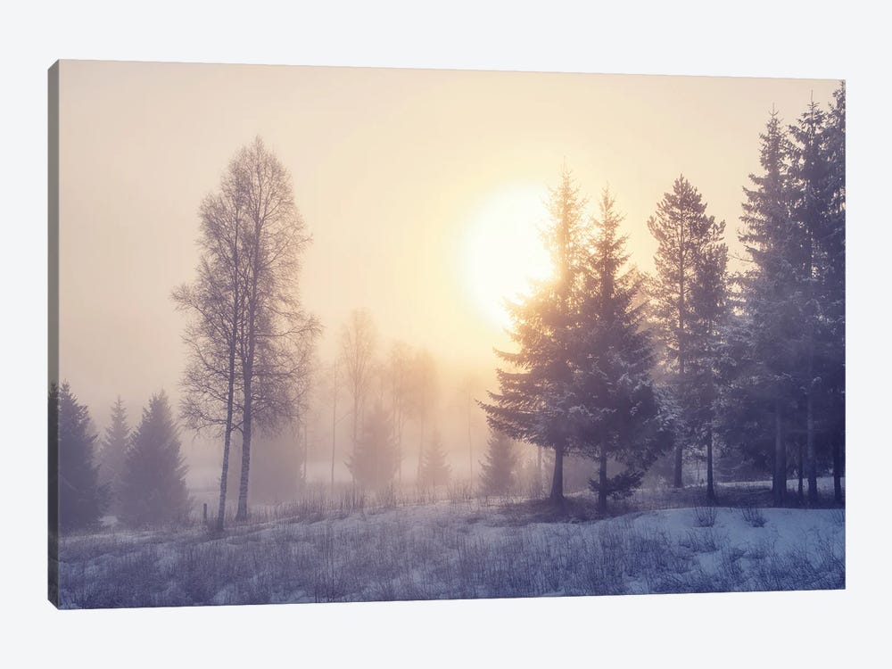 Winter Dawn by Andreas Stridsberg 1-piece Canvas Art