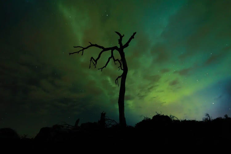 Andreas Stridsberg: Green Skies by Andreas Stridsberg