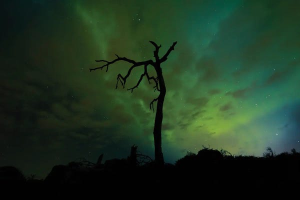 Green Skies
