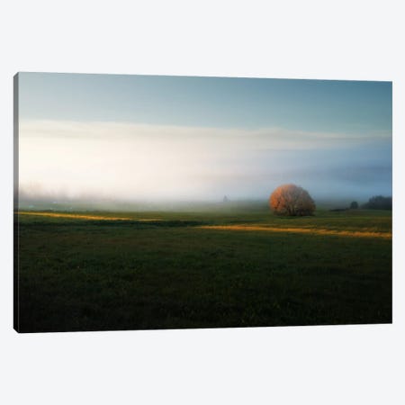 Morning Mist Canvas Print #STR39} by Andreas Stridsberg Canvas Artwork