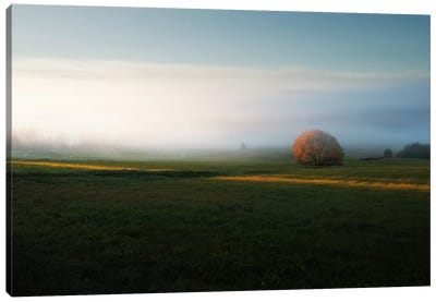 Morning Mist Canvas Art Print - Andreas Stridsberg