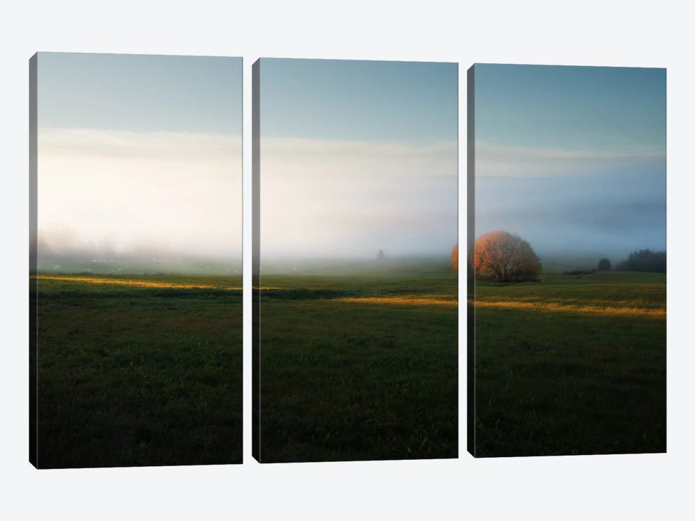 Morning Mist by Andreas Stridsberg 3-piece Canvas Art