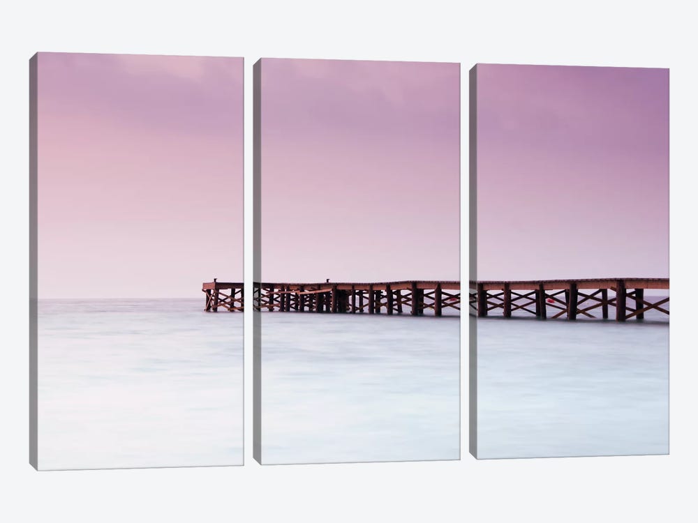 Pink Pier by Andreas Stridsberg 3-piece Art Print