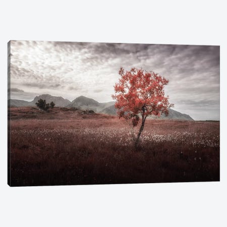 Rusted View Canvas Print #STR48} by Andreas Stridsberg Canvas Print