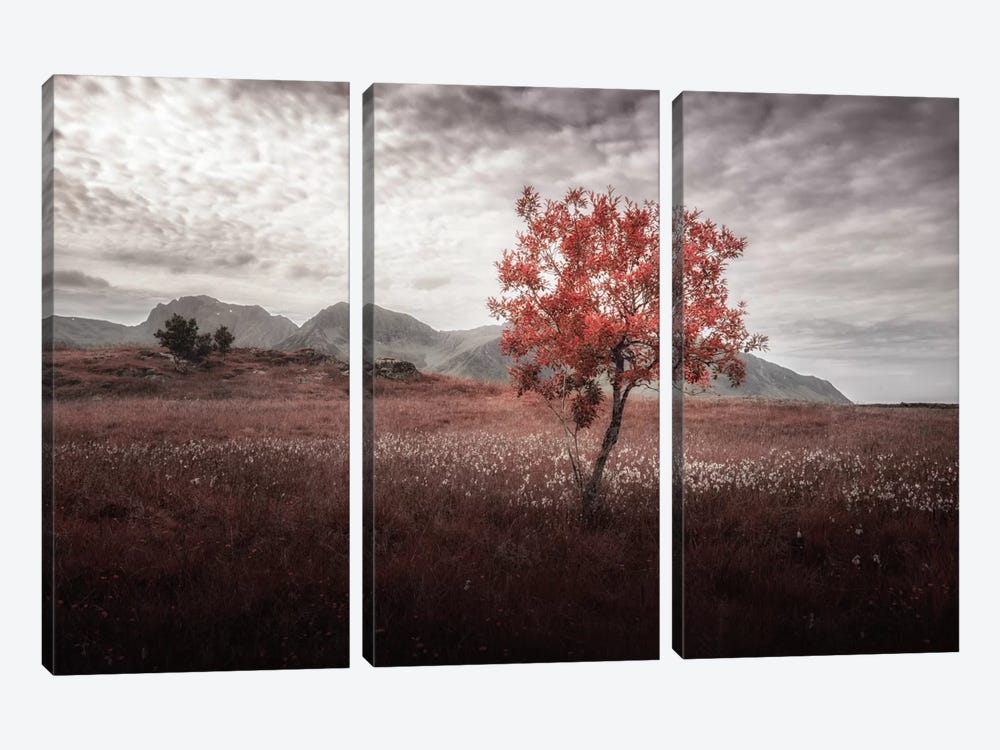 Rusted View by Andreas Stridsberg 3-piece Canvas Art