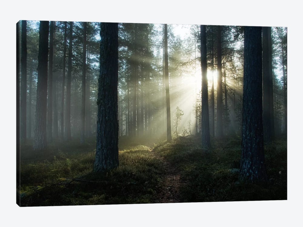 Shining Through by Andreas Stridsberg 1-piece Canvas Print