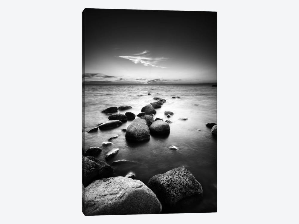 Shore Enough by Andreas Stridsberg 1-piece Canvas Wall Art