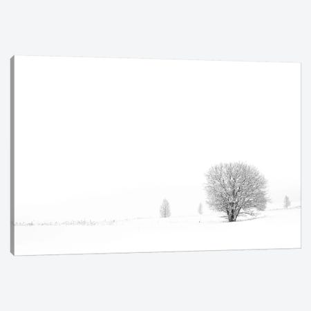 Shrouded In Snow Canvas Print #STR53} by Andreas Stridsberg Canvas Artwork