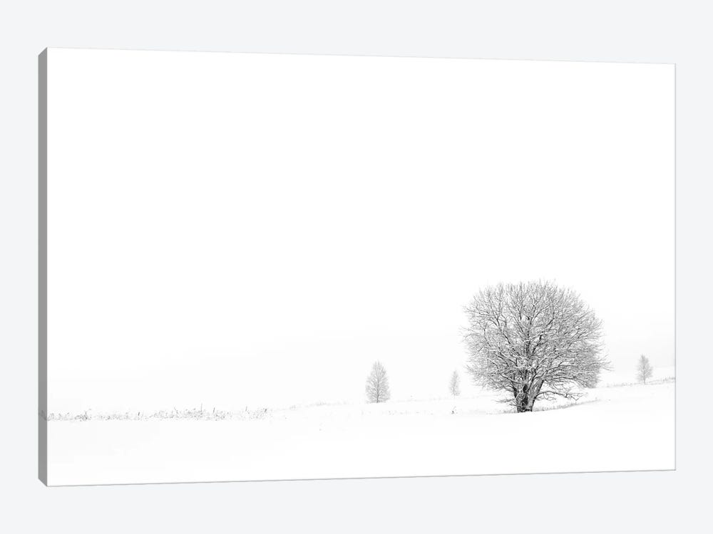 Shrouded In Snow 1-piece Canvas Wall Art