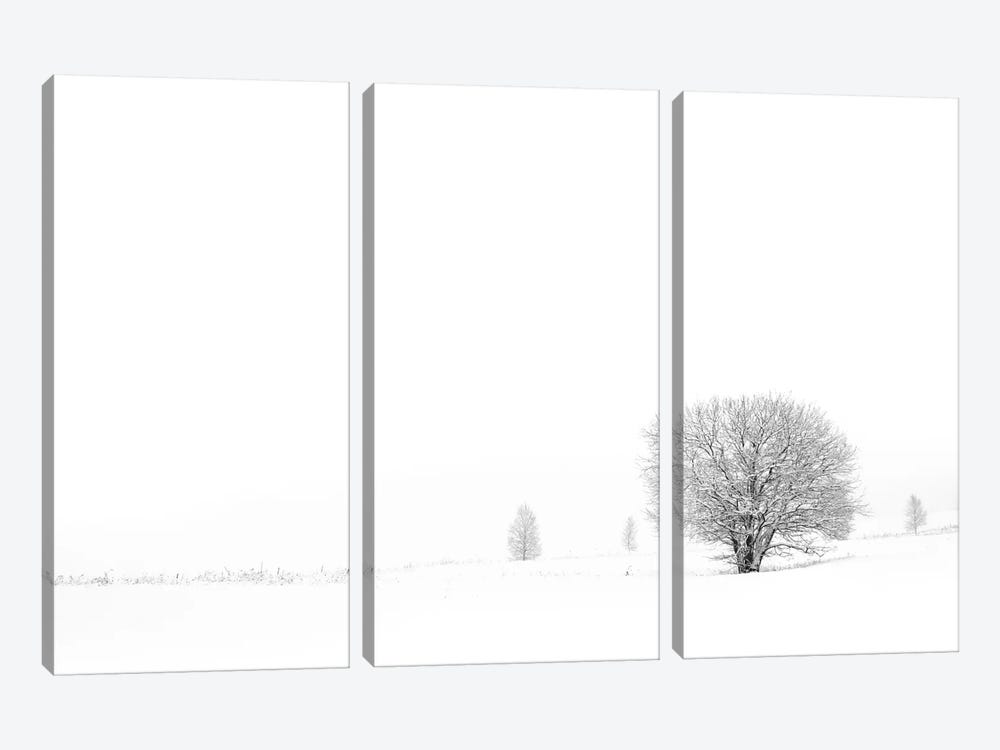 Shrouded In Snow 3-piece Canvas Art