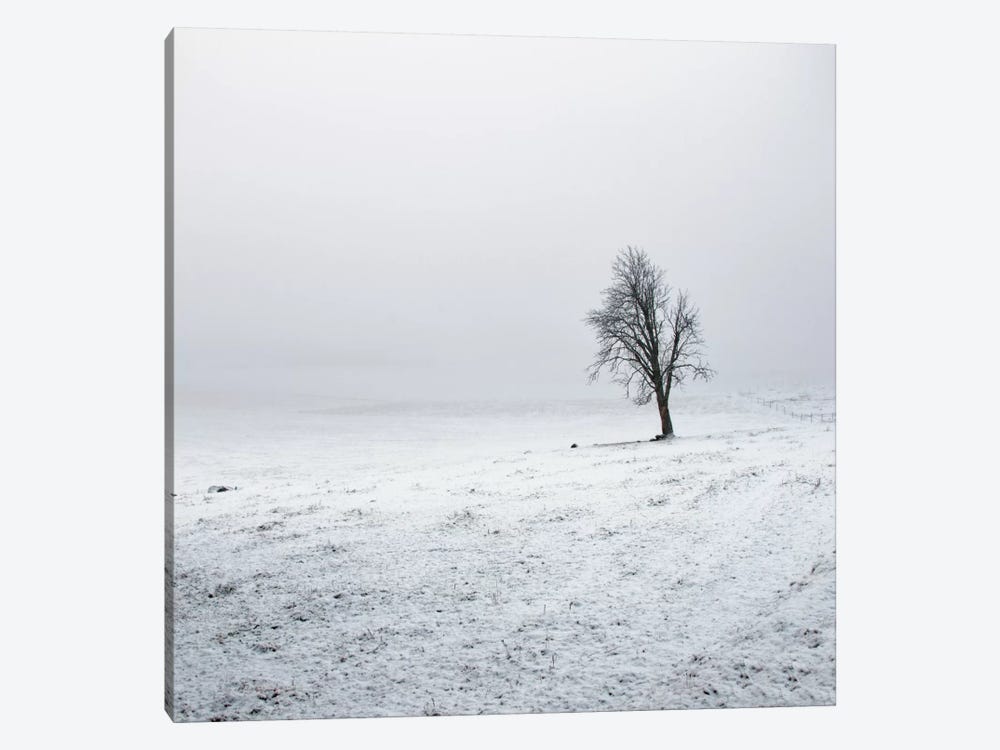 Silence by Andreas Stridsberg 1-piece Canvas Print