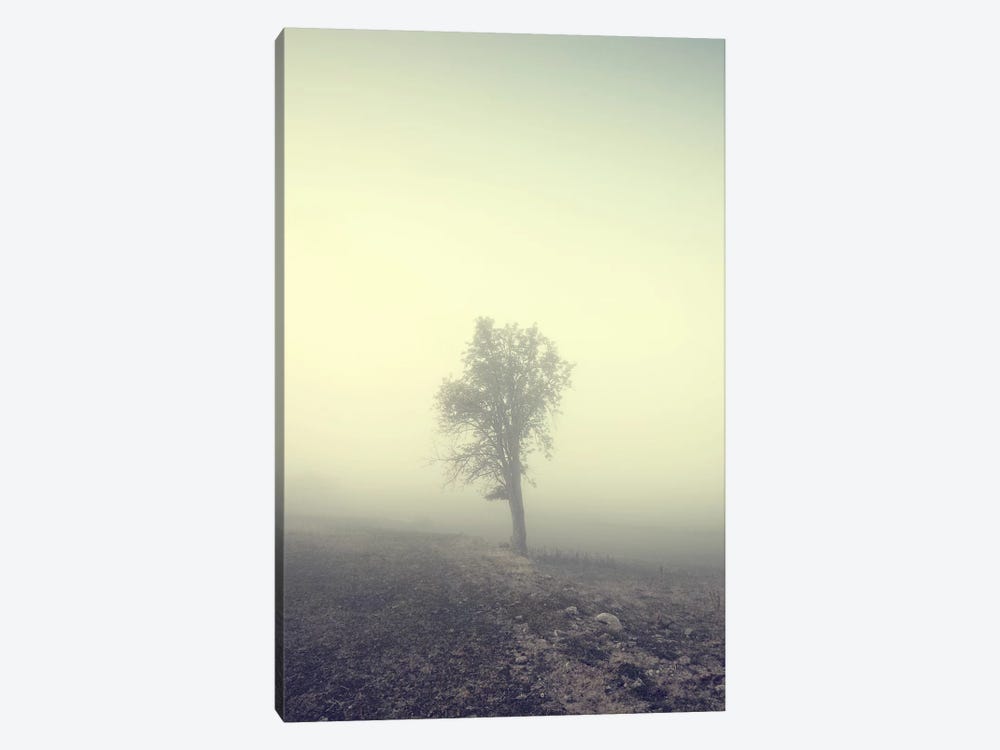 Solitude by Andreas Stridsberg 1-piece Canvas Wall Art