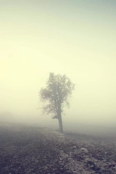 Solitude