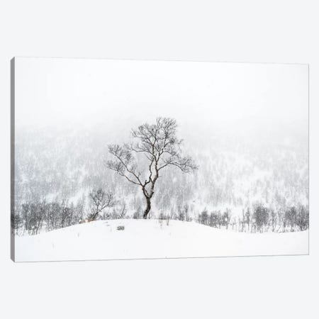 Standing Alone Canvas Print #STR60} by Andreas Stridsberg Canvas Art Print