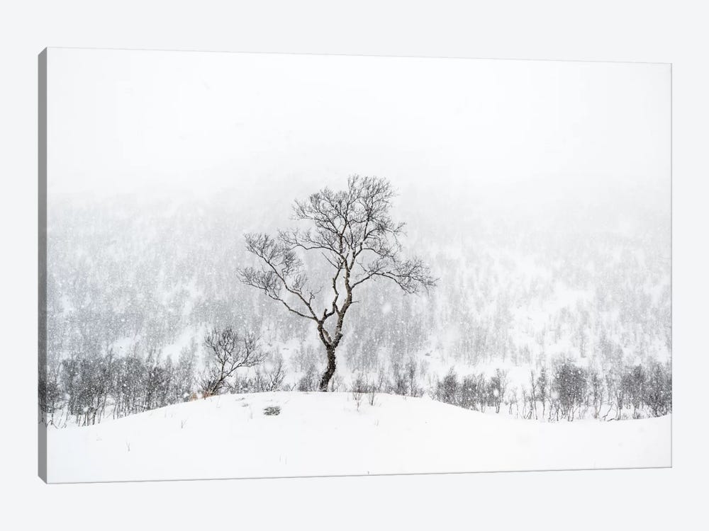 Standing Alone by Andreas Stridsberg 1-piece Canvas Wall Art