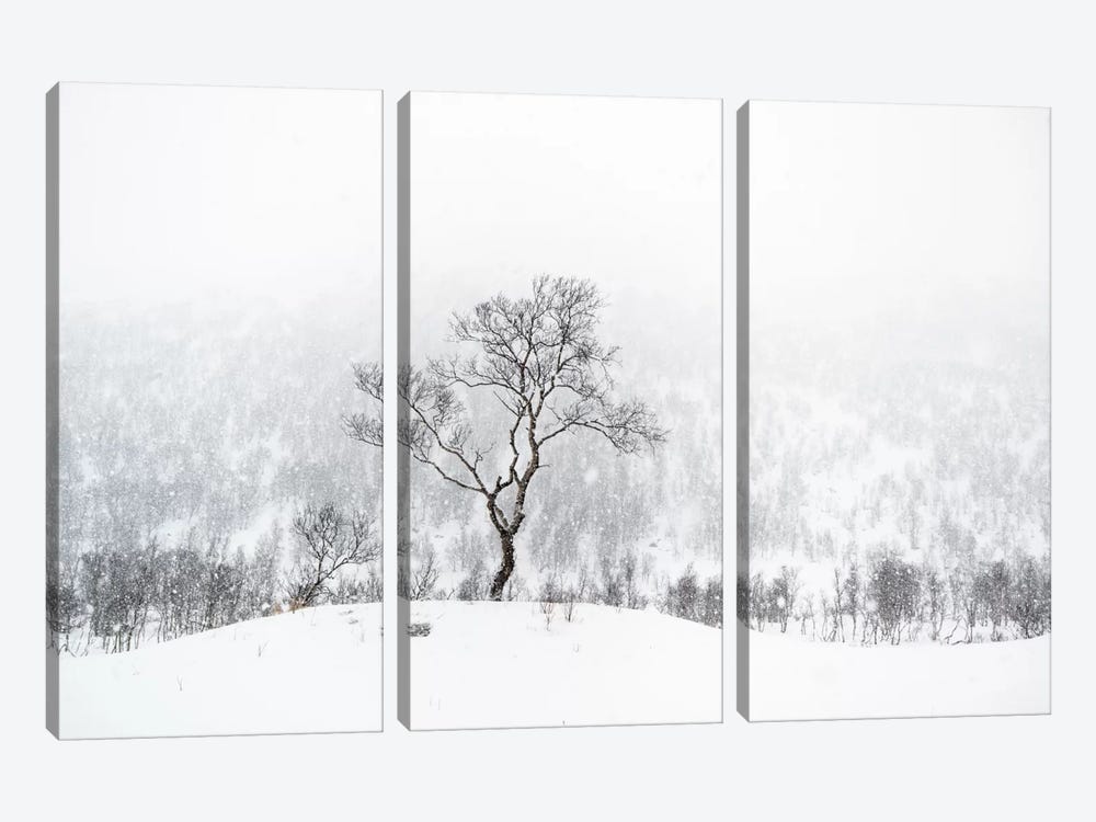 Standing Alone by Andreas Stridsberg 3-piece Canvas Artwork