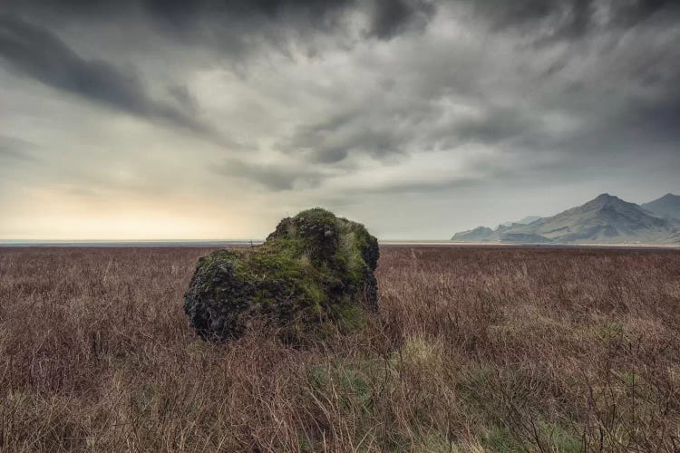 The Calm Before The Storm by Andreas Stridsberg wall art
