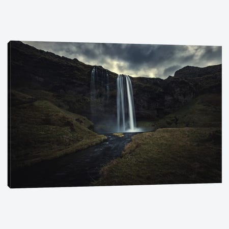 Weeping Canvas Print #STR67} by Andreas Stridsberg Canvas Artwork