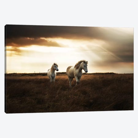 Bright Beauty Canvas Print #STR6} by Andreas Stridsberg Canvas Art