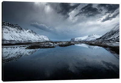 Winter Is Coming Canvas Art Print - Andreas Stridsberg