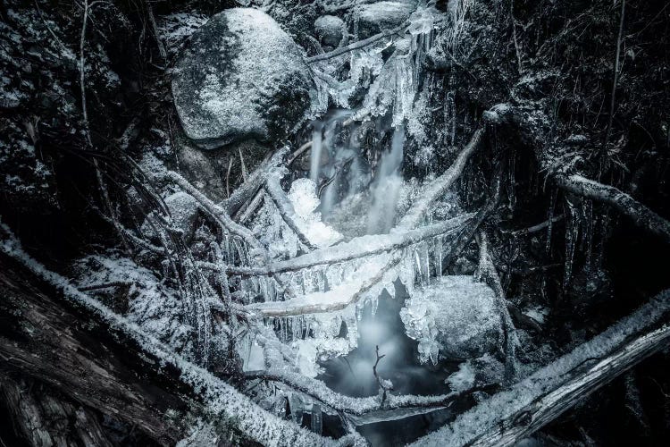 Icicles by Andreas Stridsberg wall art