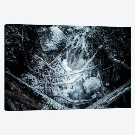Icicles Canvas Print #STR71} by Andreas Stridsberg Canvas Artwork