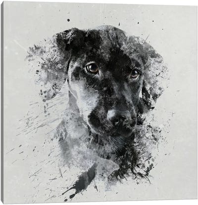 Jizza Canvas Art Print - Labrador Retriever Art