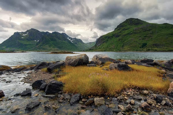 Norway: Lofoten Grass by Andreas Stridsberg