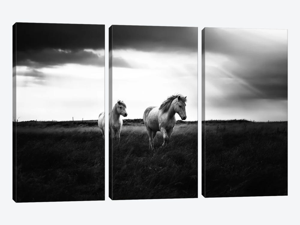 Bright Beauty-B&W by Andreas Stridsberg 3-piece Canvas Art