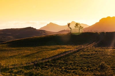 Brothers by Andreas Stridsberg multi panel art