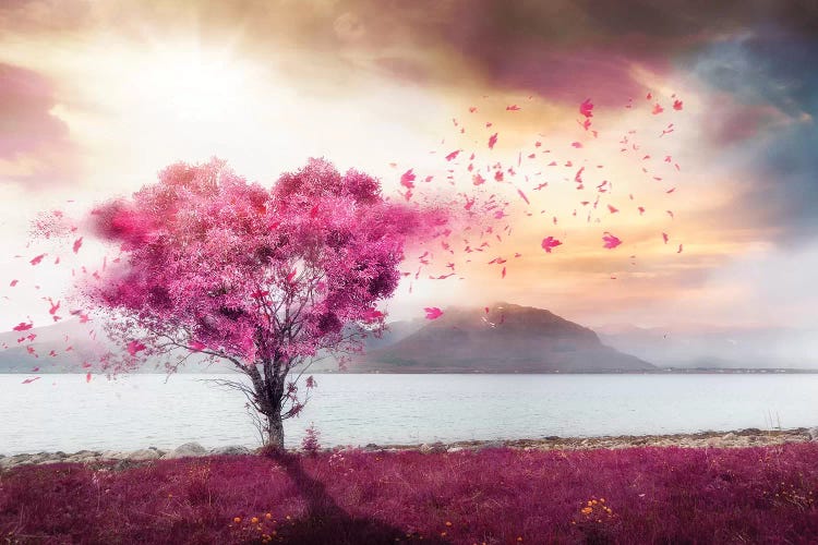 Lofoten Heart
