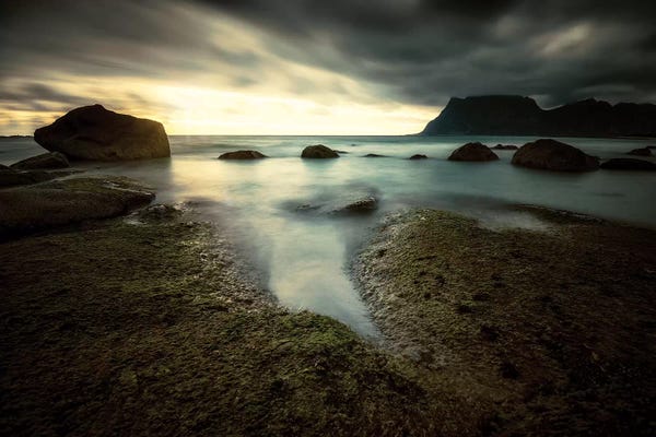 Lofoten: Lofoten Tide Pool by Andreas Stridsberg