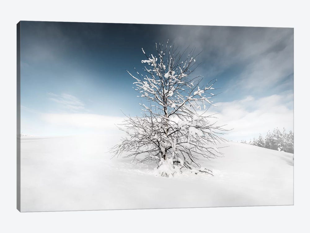 Winter Tree by Andreas Stridsberg 1-piece Canvas Artwork