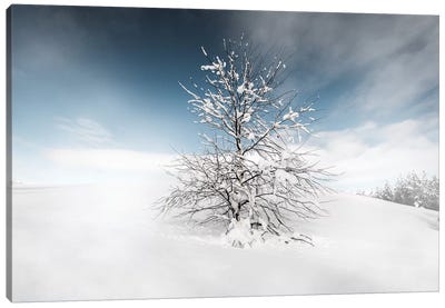 Winter Tree Canvas Art Print - Snow Art