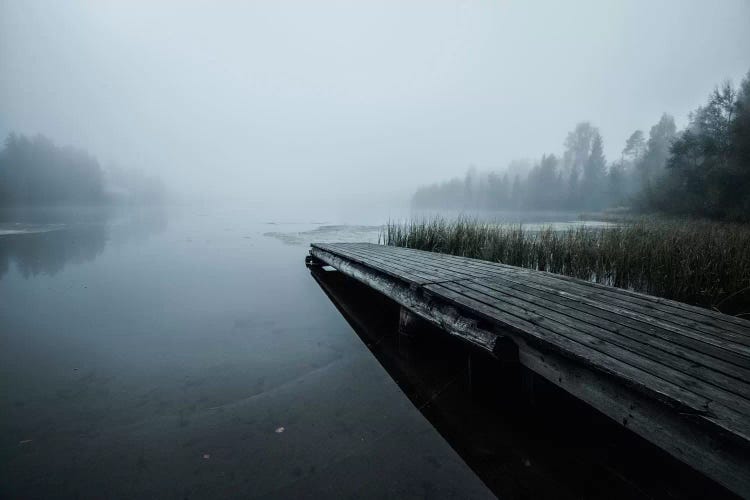 Fog by Andreas Stridsberg wall art