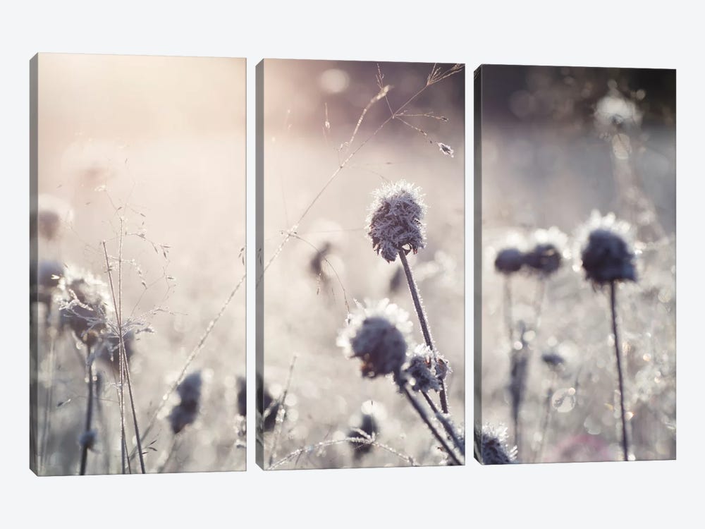 Frost I by Andreas Stridsberg 3-piece Canvas Artwork