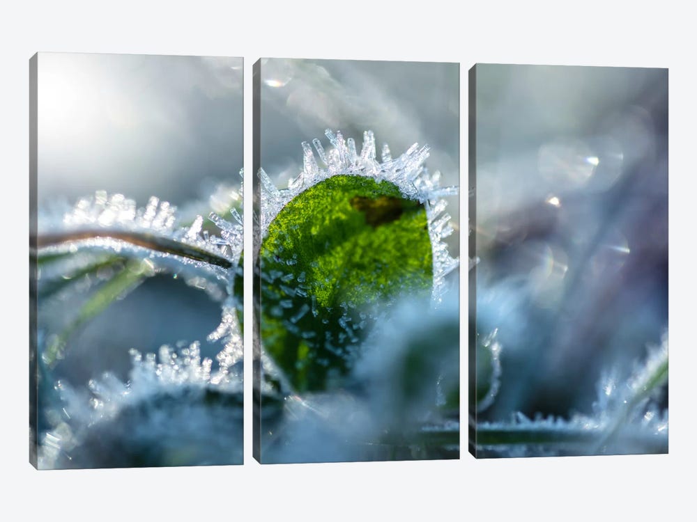 Frost II by Andreas Stridsberg 3-piece Canvas Print