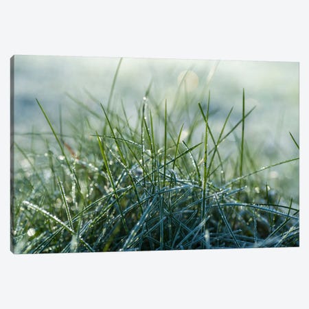 Frost III Canvas Print #STR97} by Andreas Stridsberg Art Print