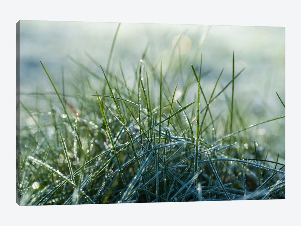 Frost III by Andreas Stridsberg 1-piece Canvas Wall Art